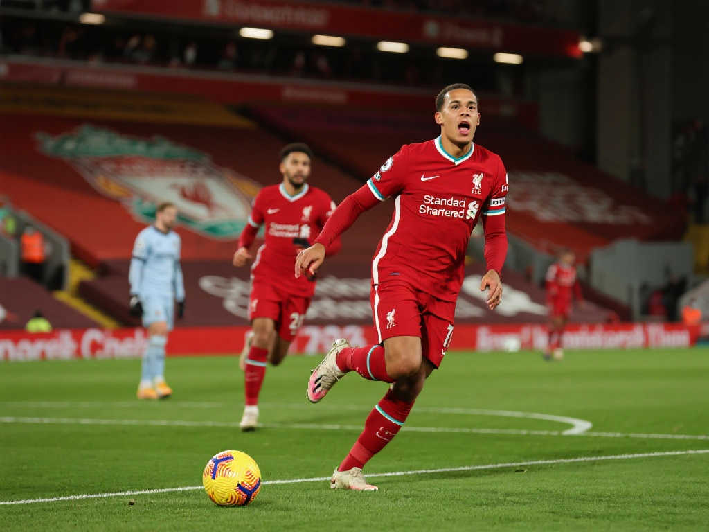 澳大利亞的 澳大利亞的