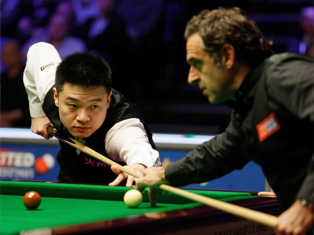 每年都有新 每年都有新